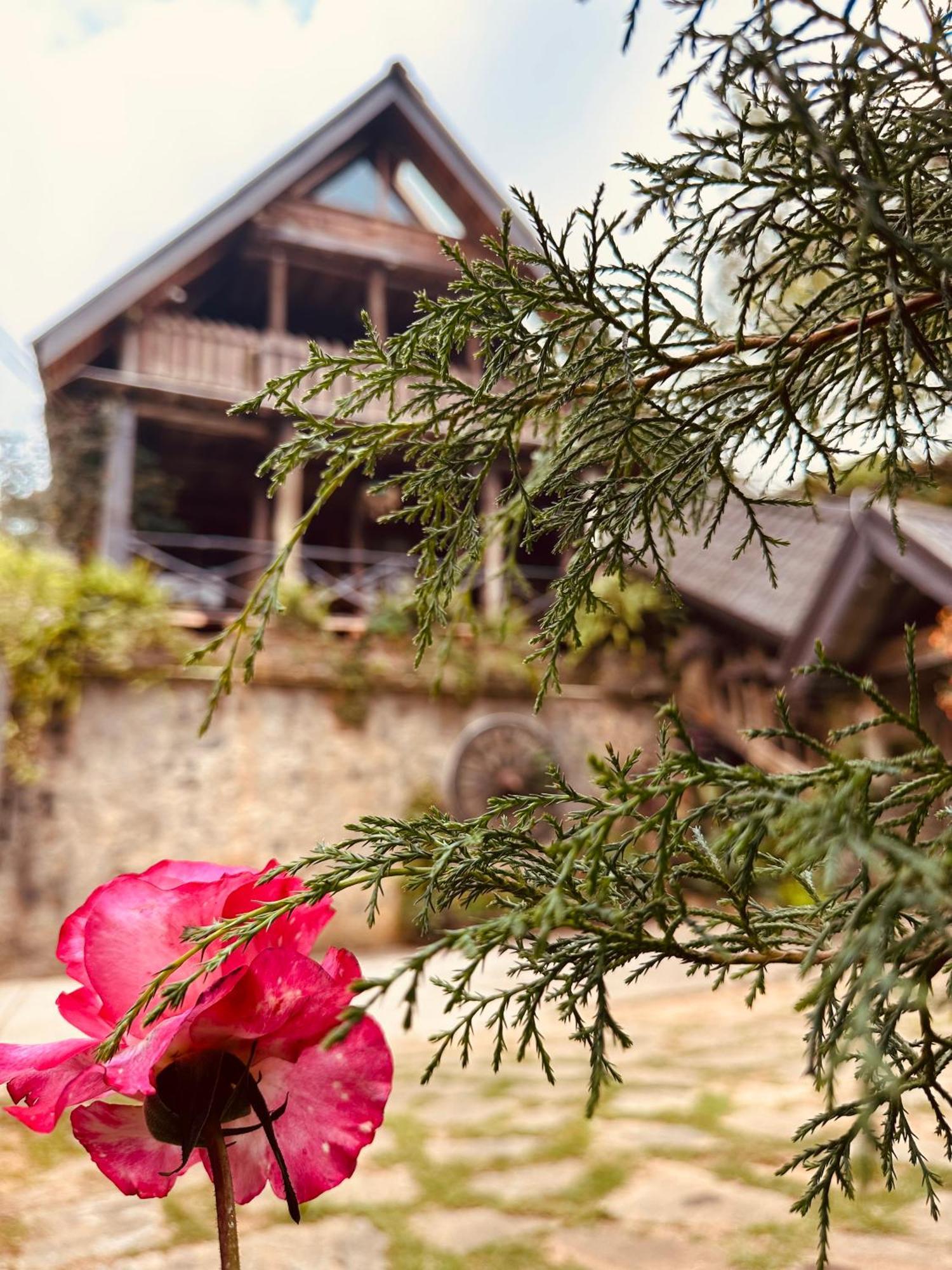 Villa 47 Nuwaraeliya Nuwara Eliya Buitenkant foto