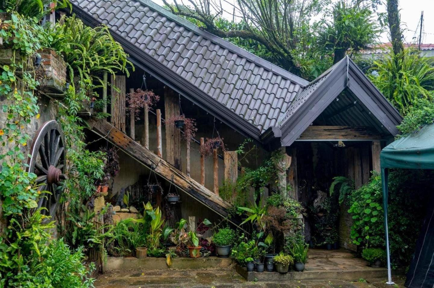 Villa 47 Nuwaraeliya Nuwara Eliya Buitenkant foto